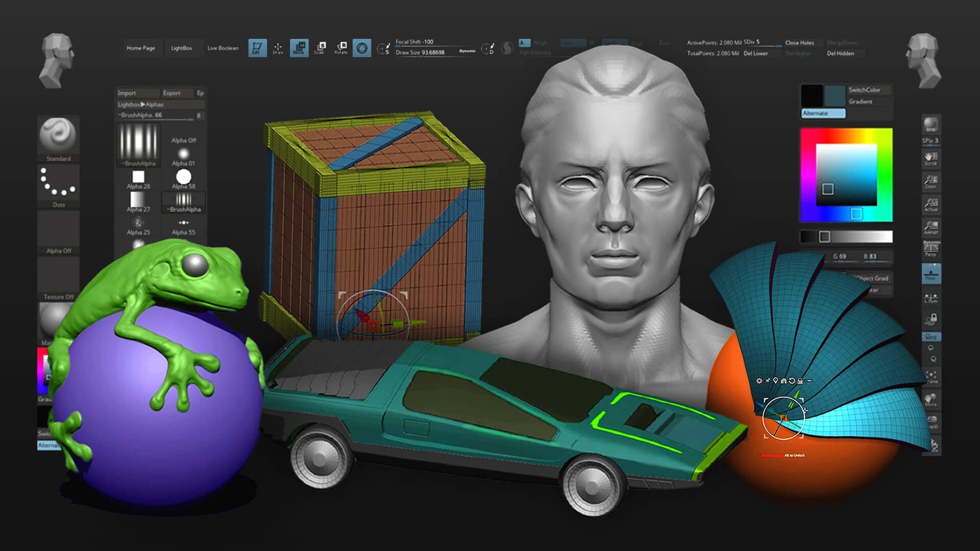 ZBrush Basics background